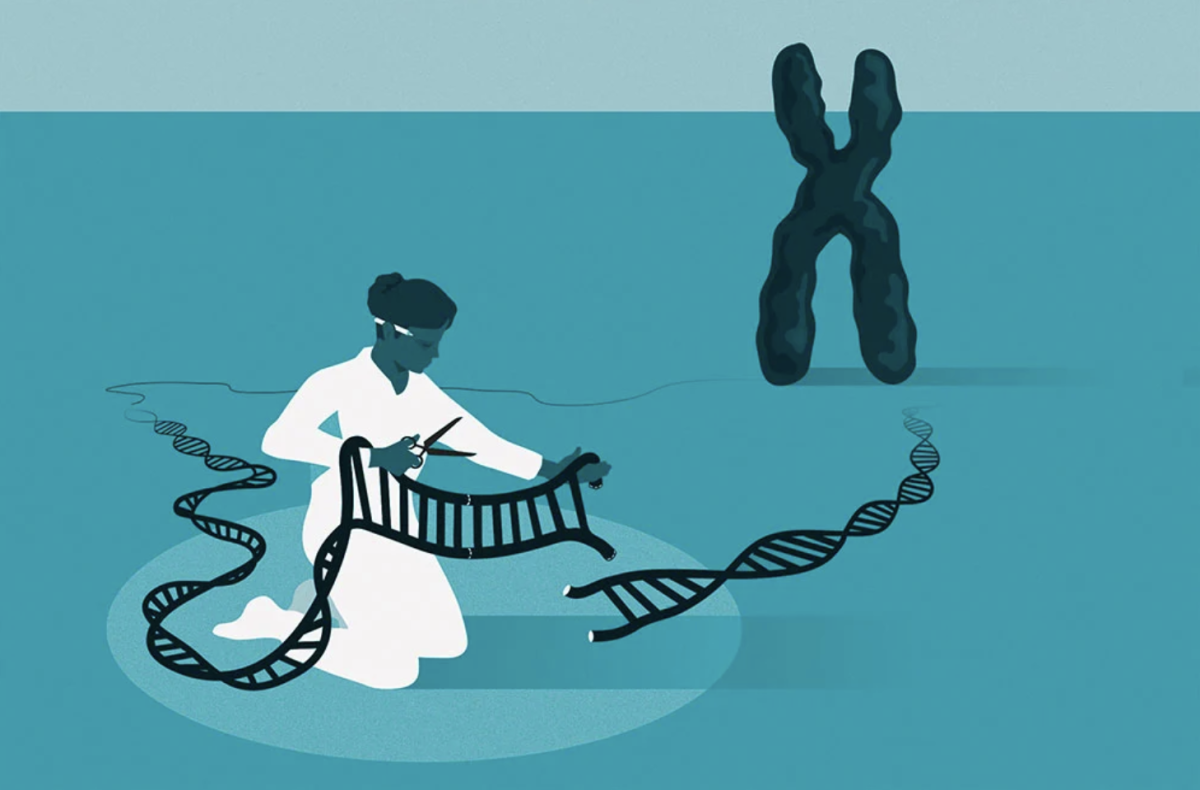 The Rise of CRISPR: Pioneering the Future of Genetic Engineering